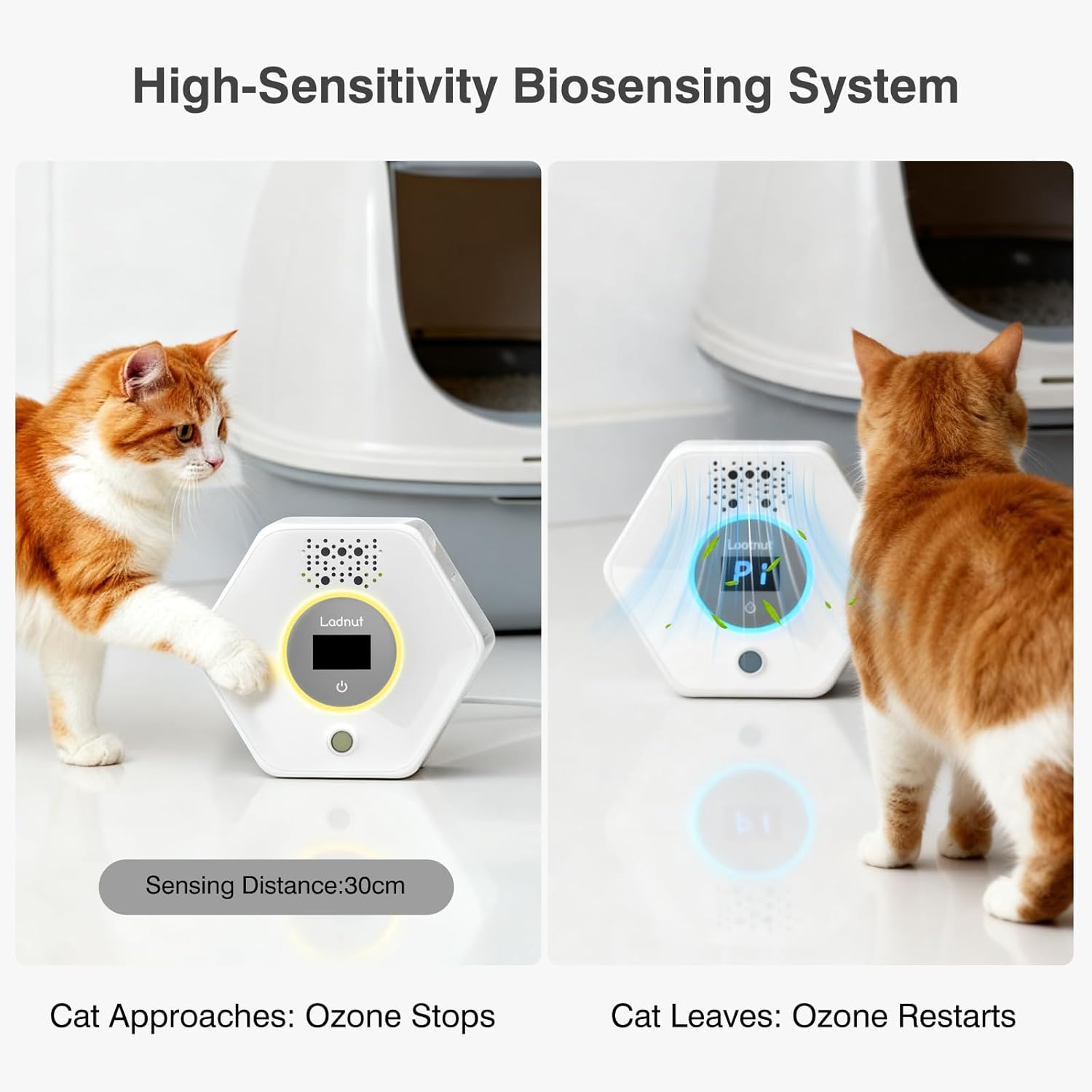 Cat Litter Odor Deodorizer - Ozone & Negative Ion Cat Odor Eliminator with Sensor Monitor, Safe Air Purifier for Pets,Odor Remover for Multi-Purpose Use